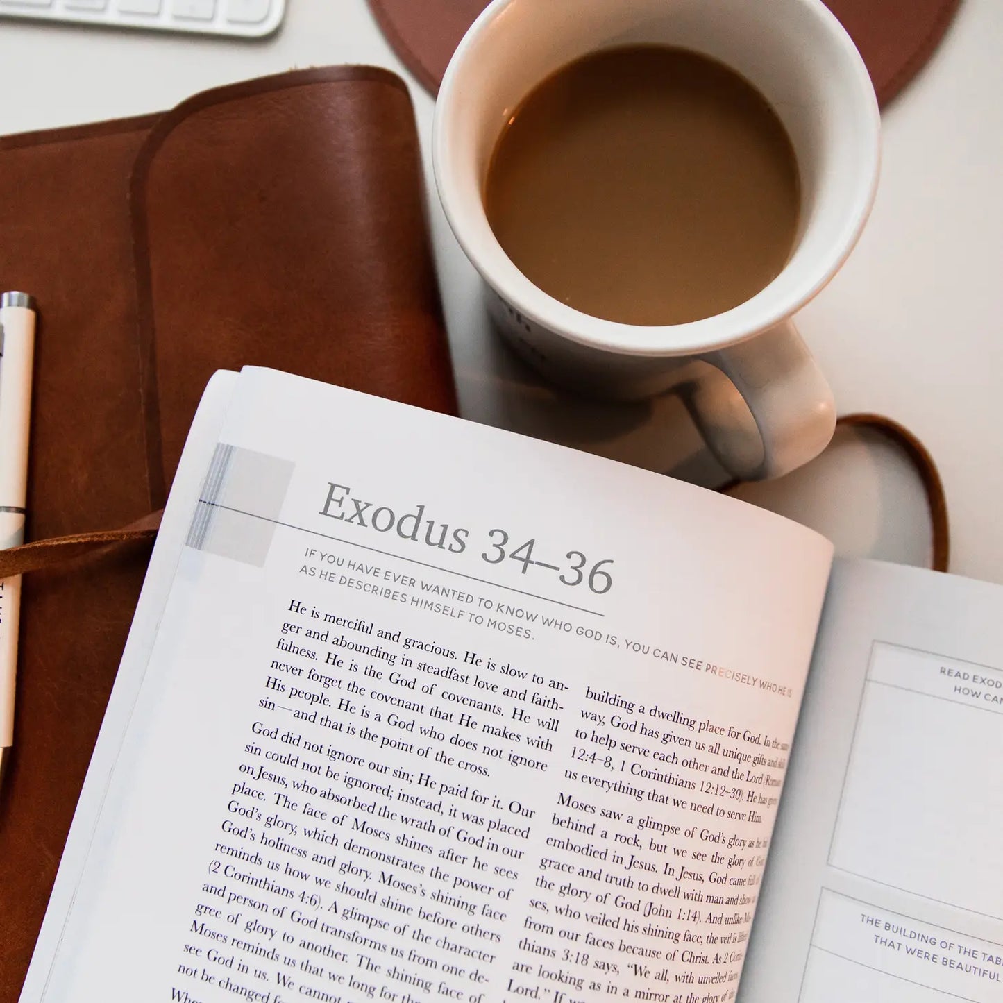 Eden to Eternity - The Chronological Story of Scripture - Volume 1 - Men