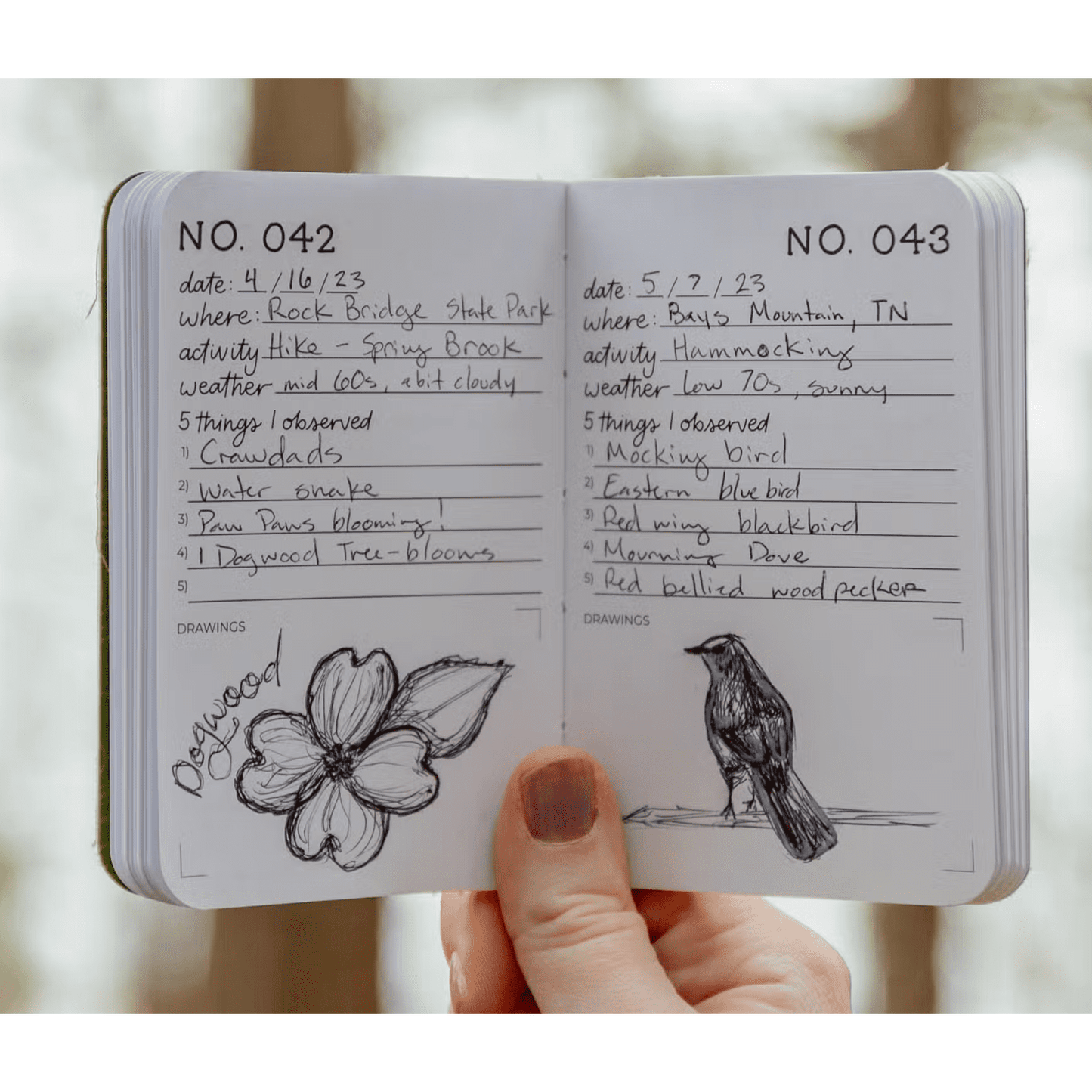 One Hundred Nature Studies Journal