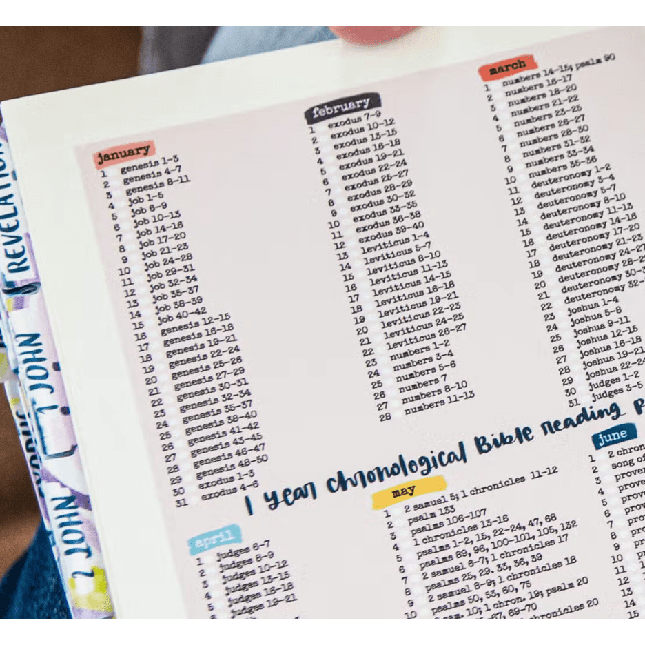 Chronological - One Year Bible Reading Plan Sticker