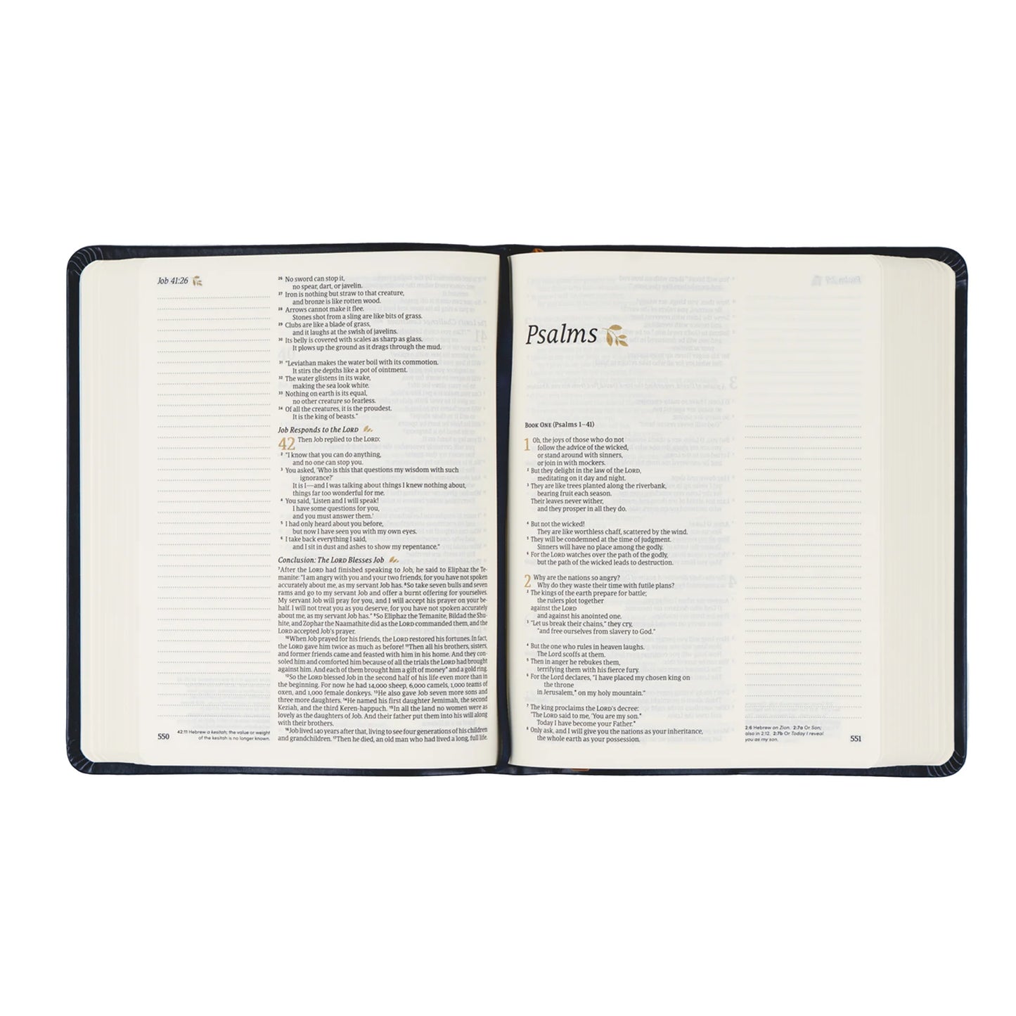 Hosannah Revival Versailles NLT Leather Bible