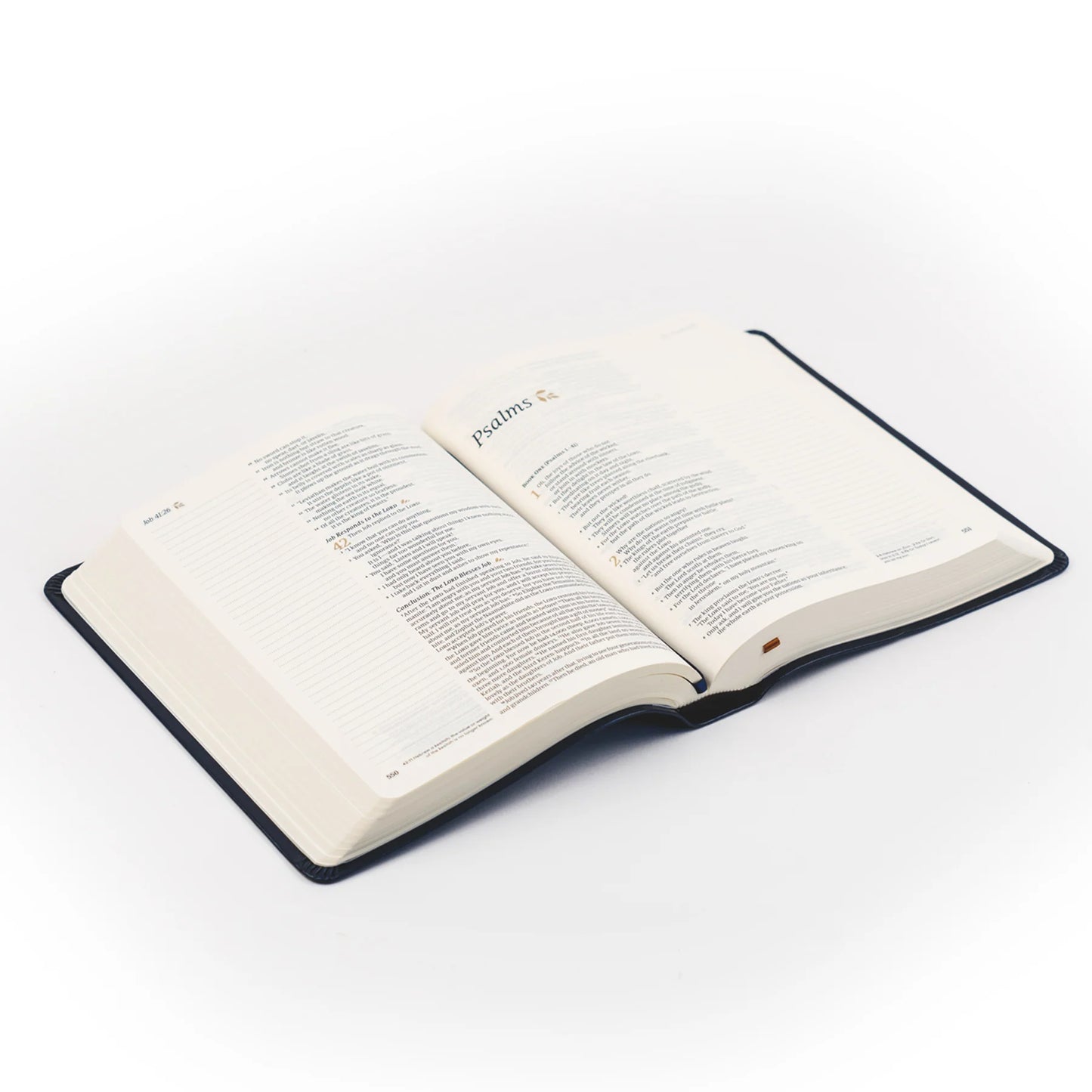 Hosannah Revival Versailles NLT Leather Bible