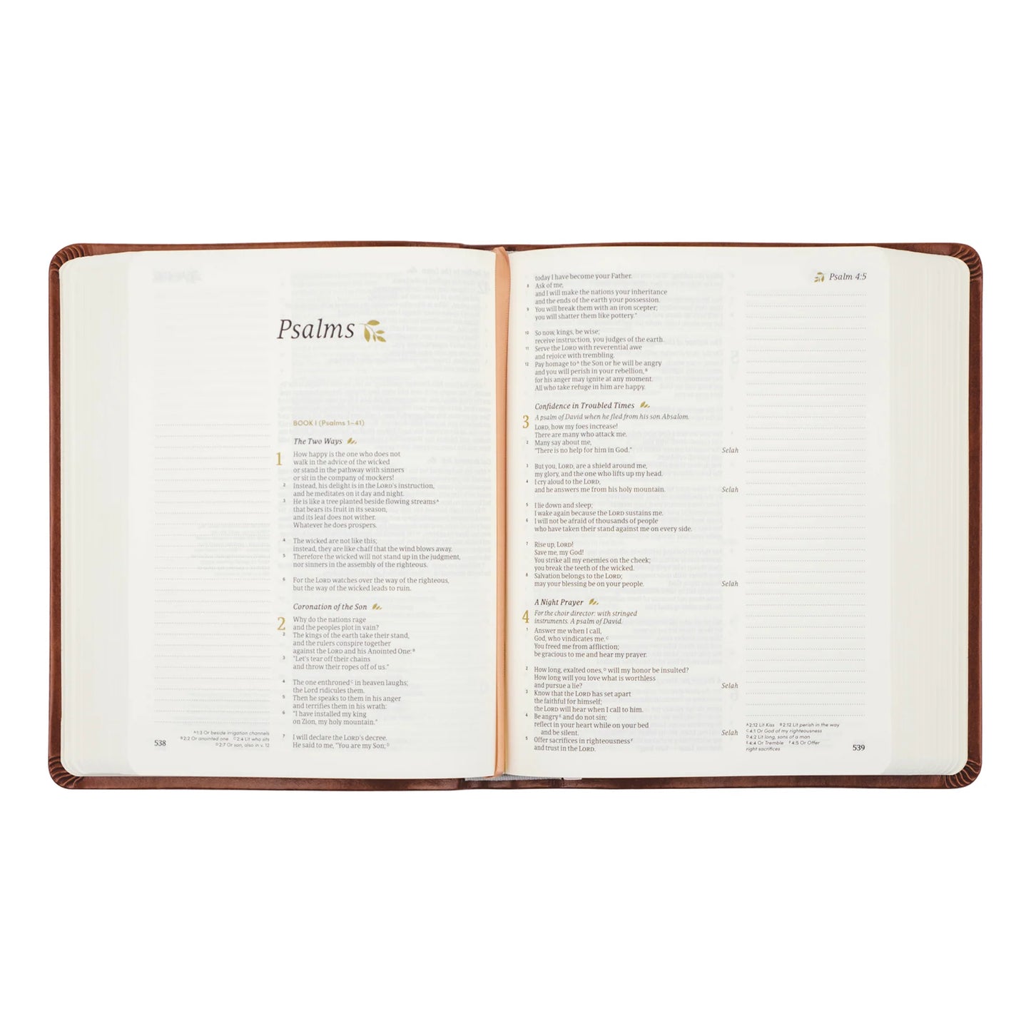 Hosannah Revival Vienna CSB Leather Bible
