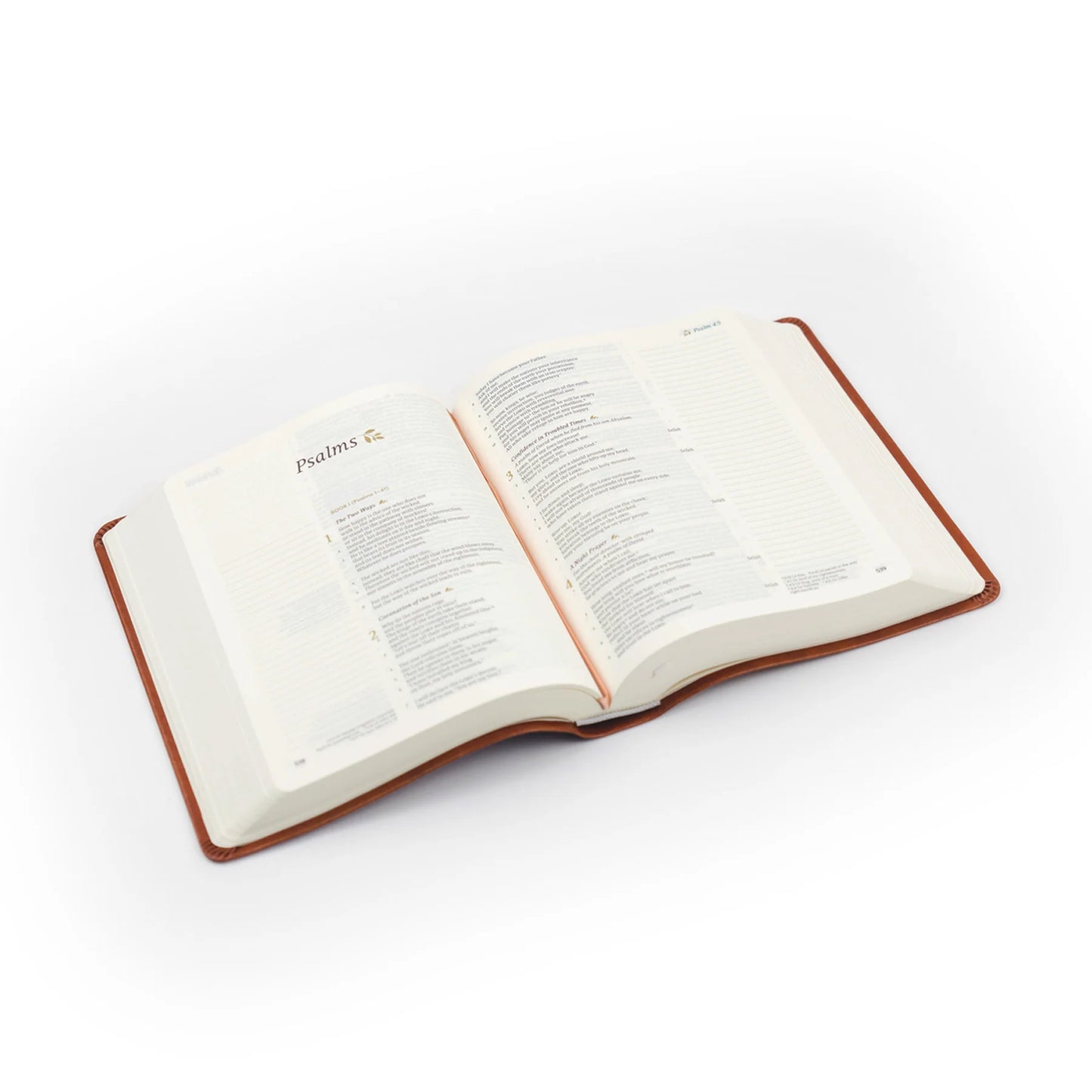 Hosannah Revival Vienna CSB Leather Bible