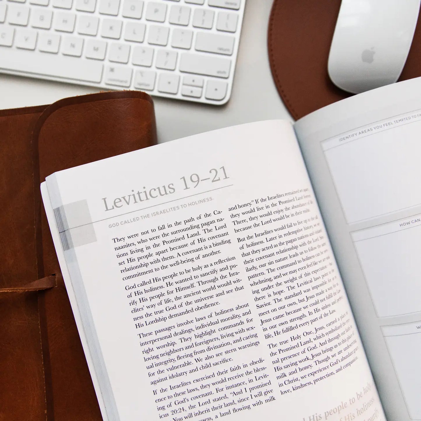 Eden to Eternity - The Chronological Story of Scripture - Volume 1 - Men