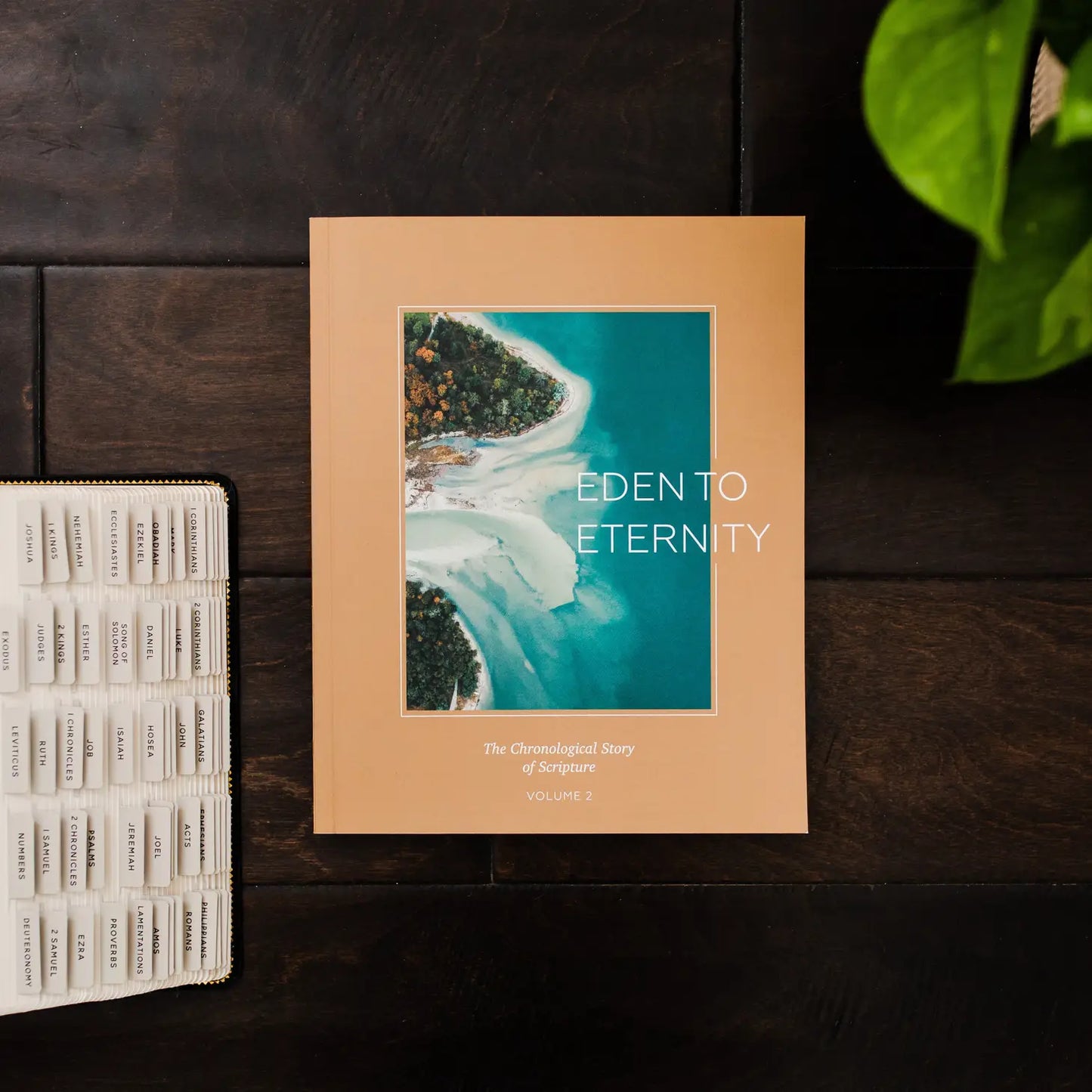 Eden to Eternity - The Chronological Story of Scripture - Volume 2 - Men