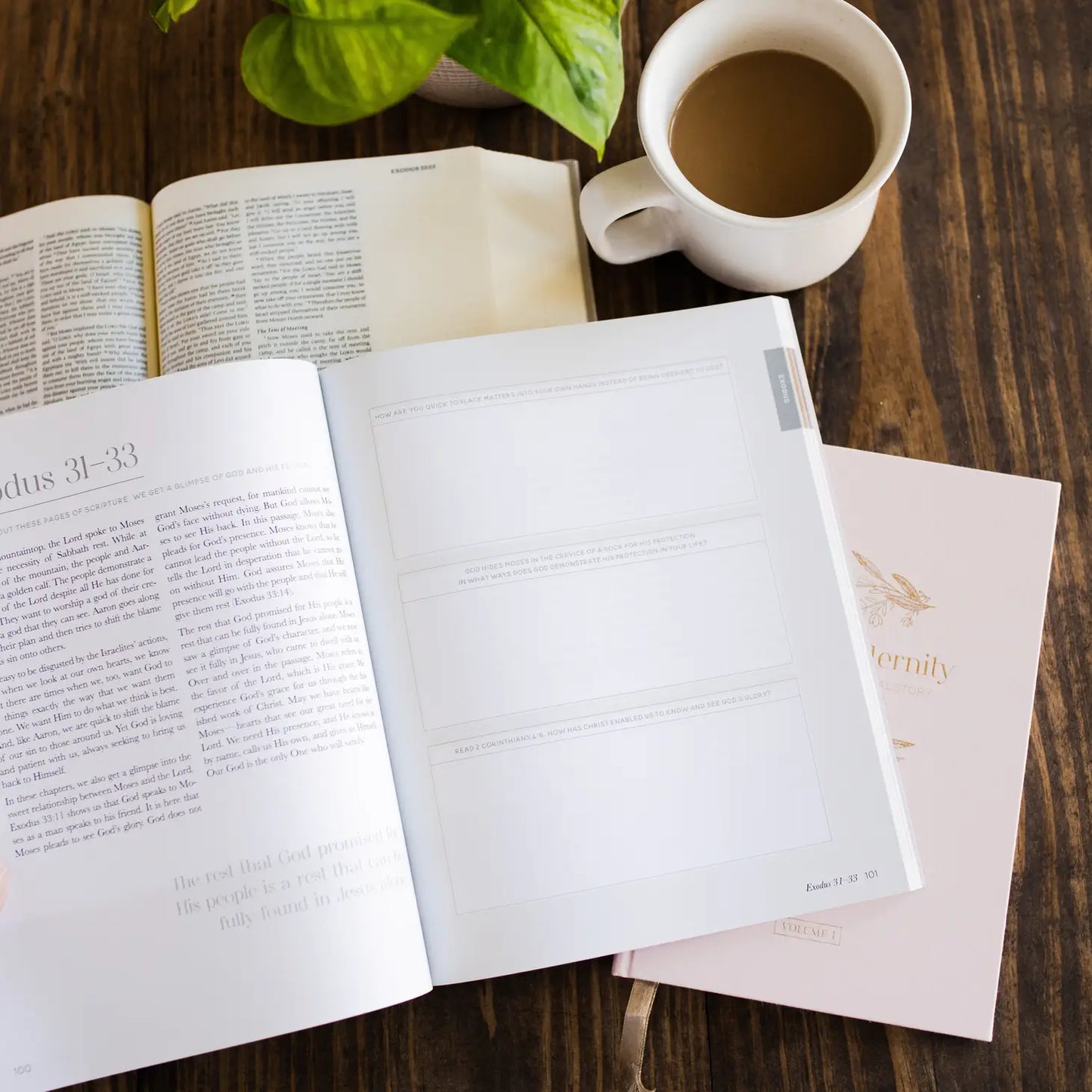 Eden to Eternity - The Chronological Story of Scripture - Volume 1