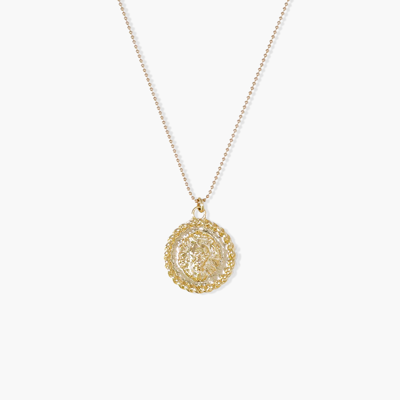 Dainty Lion Head Necklace and Chain