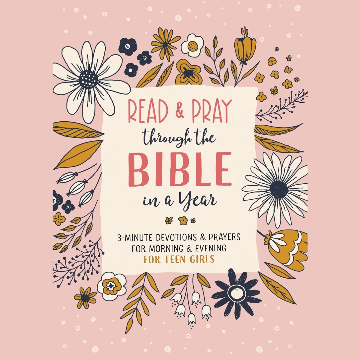 Read and Pray through the Bible in a Year (teen girl)