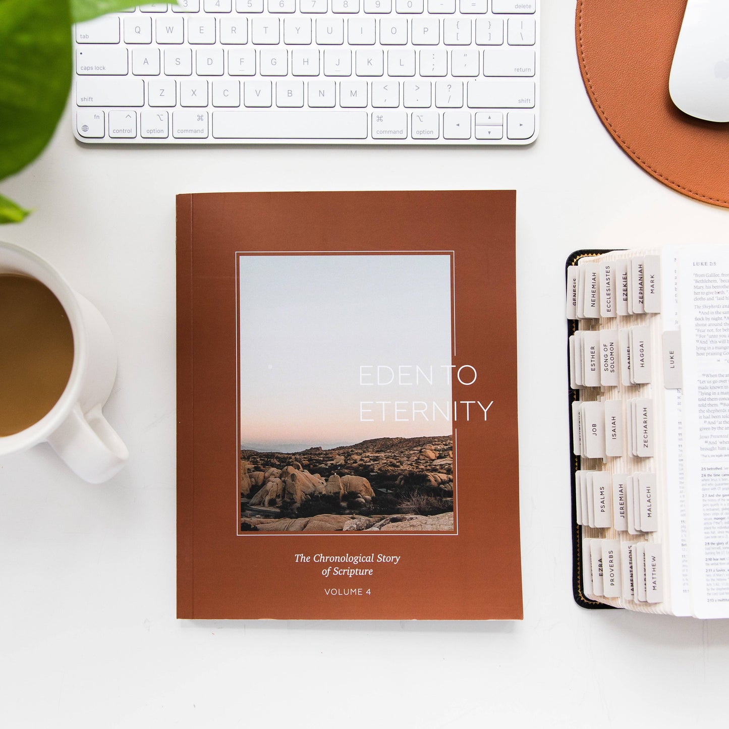 Eden to Eternity - The Chronological Story of Scripture - Volume 4 - Men
