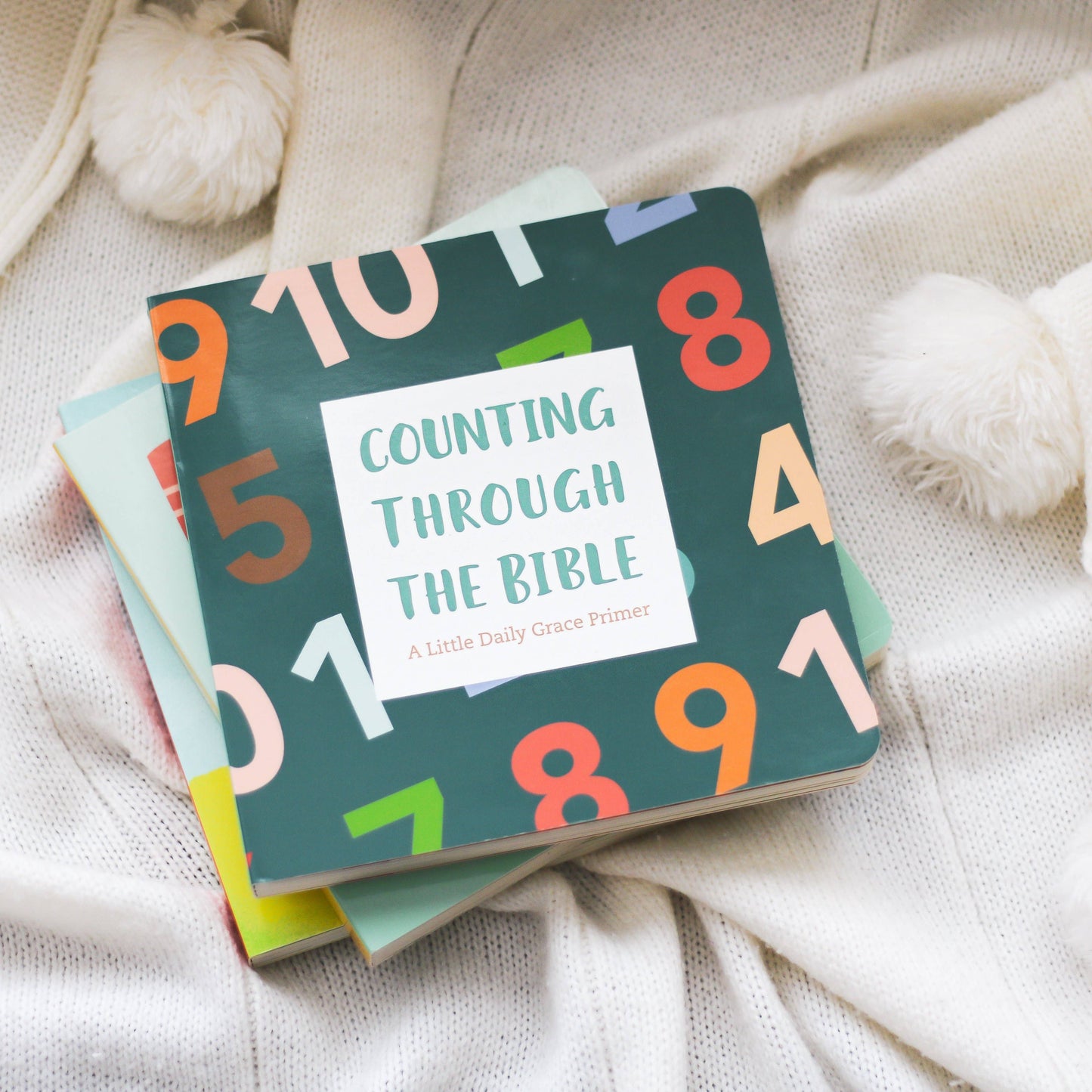 Counting Through the Bible - Board Book