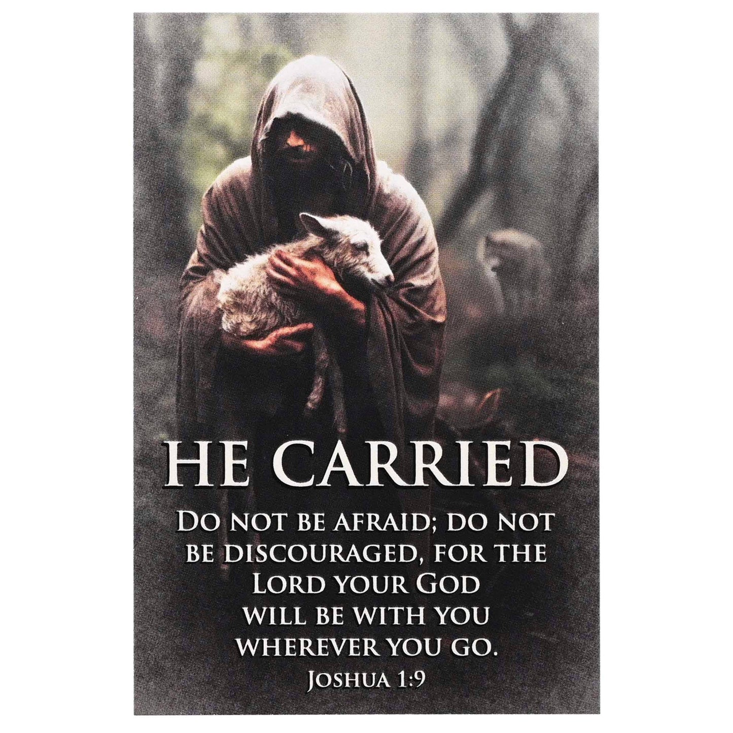 Itty Bitty Card Assortment | Good Shepherd Feat. Kevin Carden Art