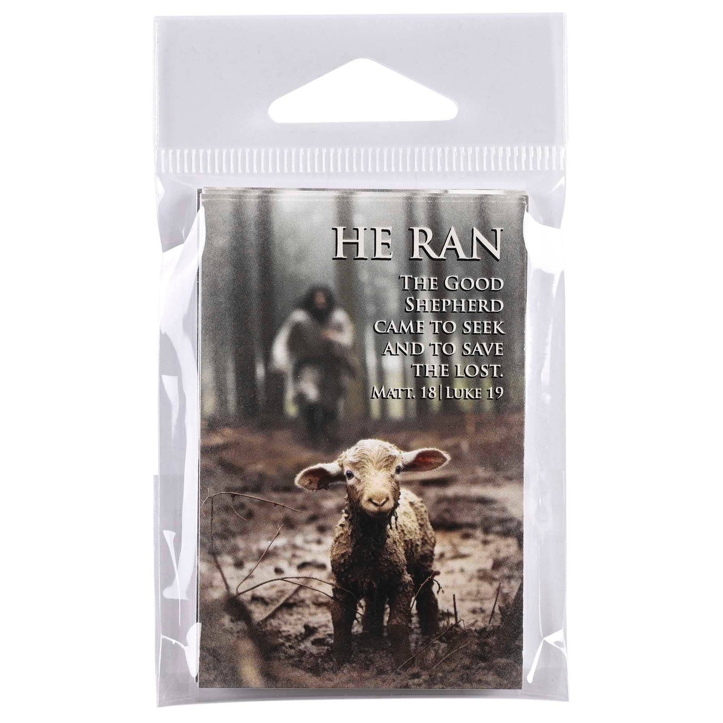 Itty Bitty Card Assortment | Good Shepherd Feat. Kevin Carden Art