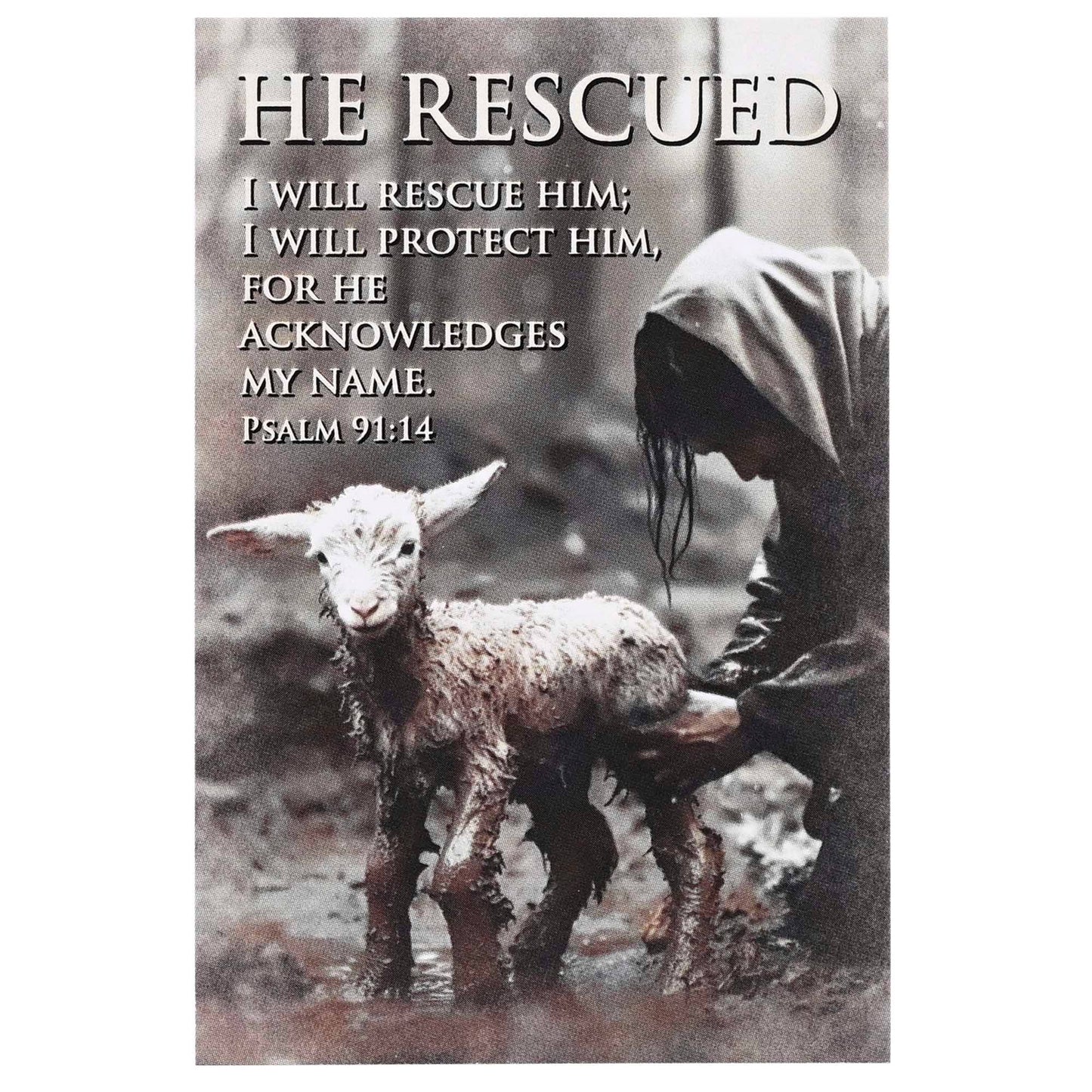 Itty Bitty Card Assortment | Good Shepherd Feat. Kevin Carden Art