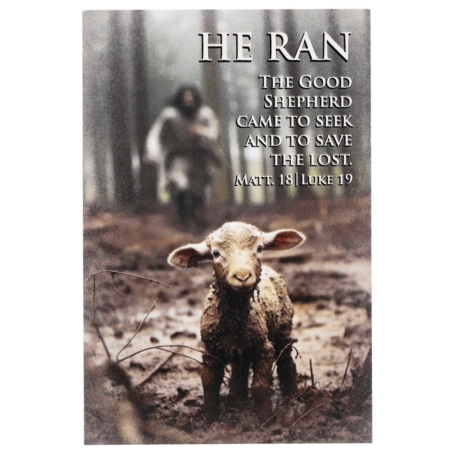 Itty Bitty Card Assortment | Good Shepherd Feat. Kevin Carden Art