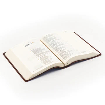Hosannah Revival Anchorage CSB  Leather Bible