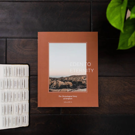 Eden to Eternity - The Chronological Story of Scripture - Volume 4 - Men