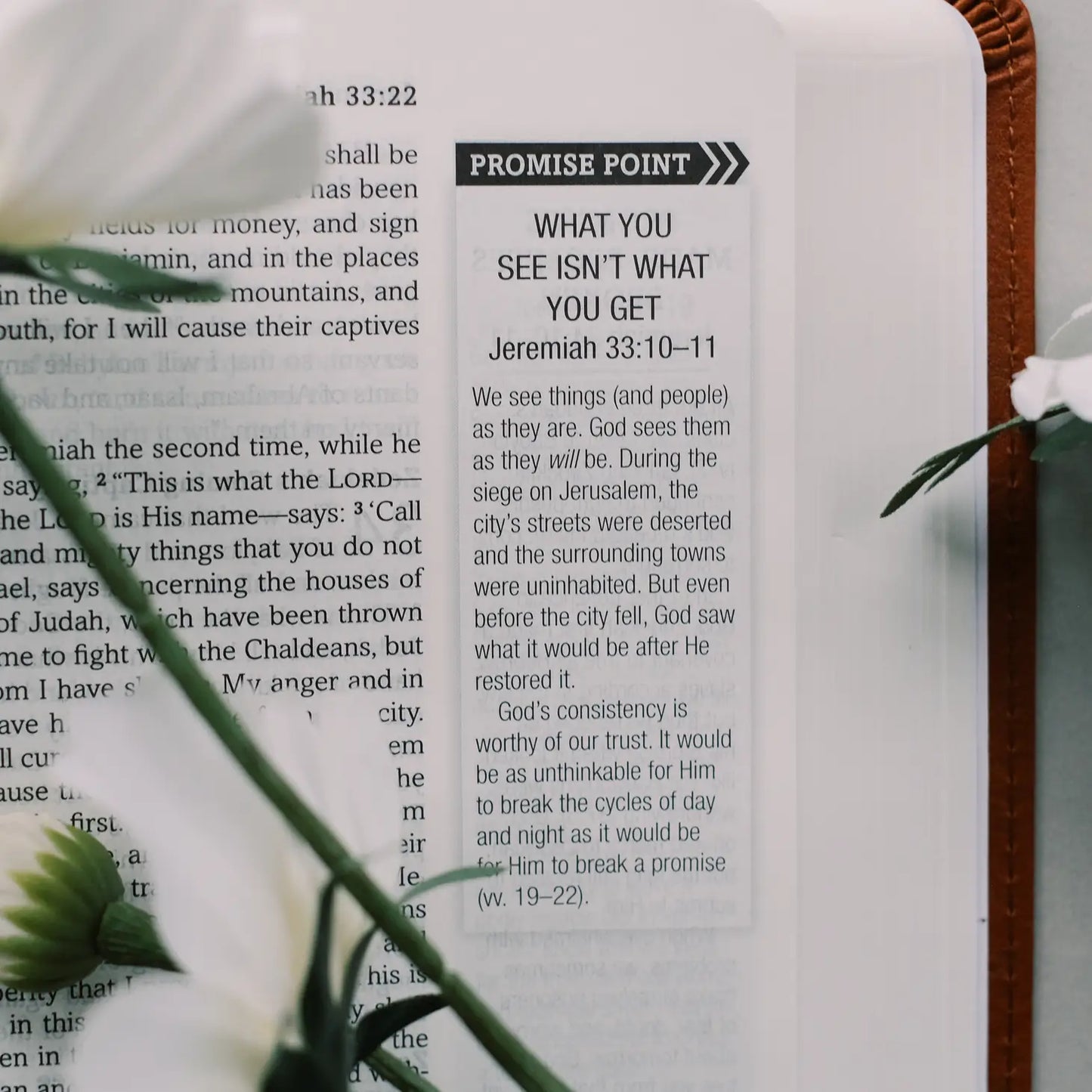 The Holy Bible: SKJV [Chestnut Floral]