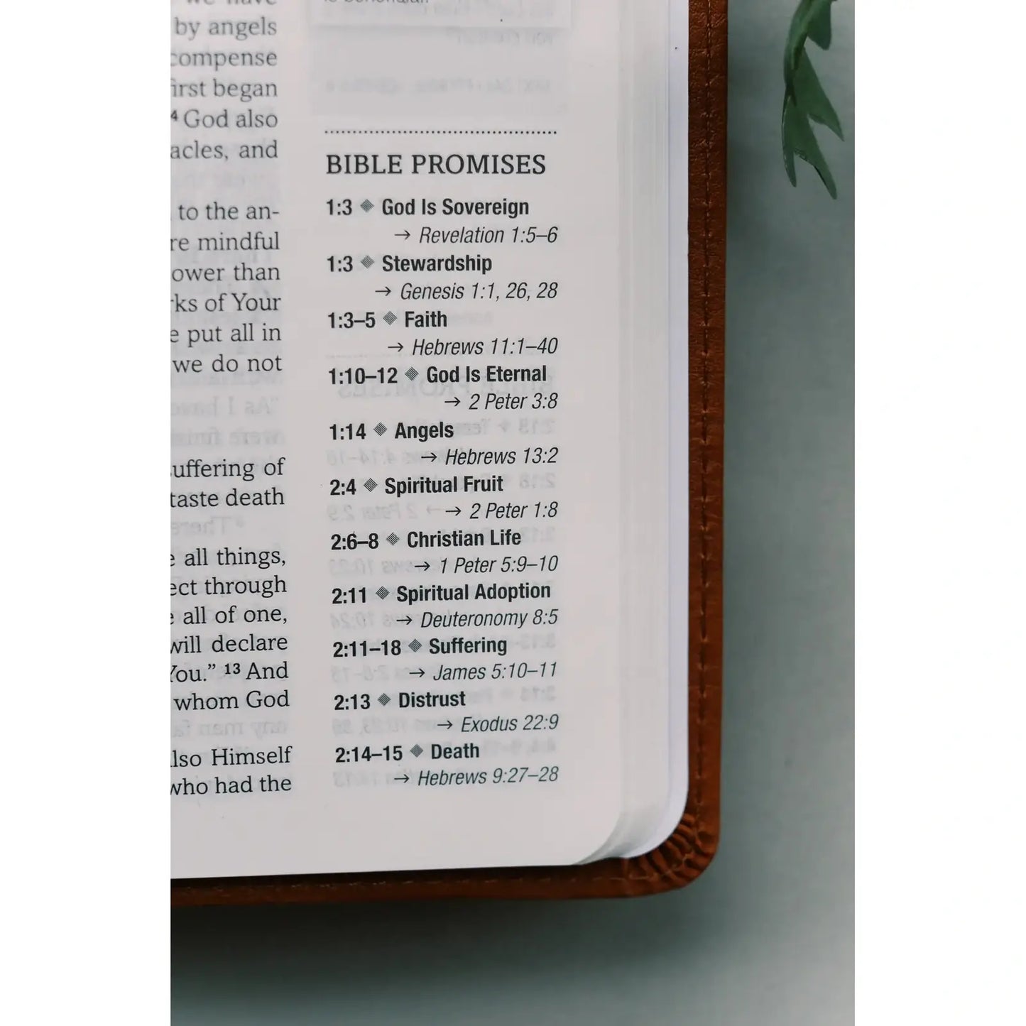 The Holy Bible: SKJV [Chestnut Floral]