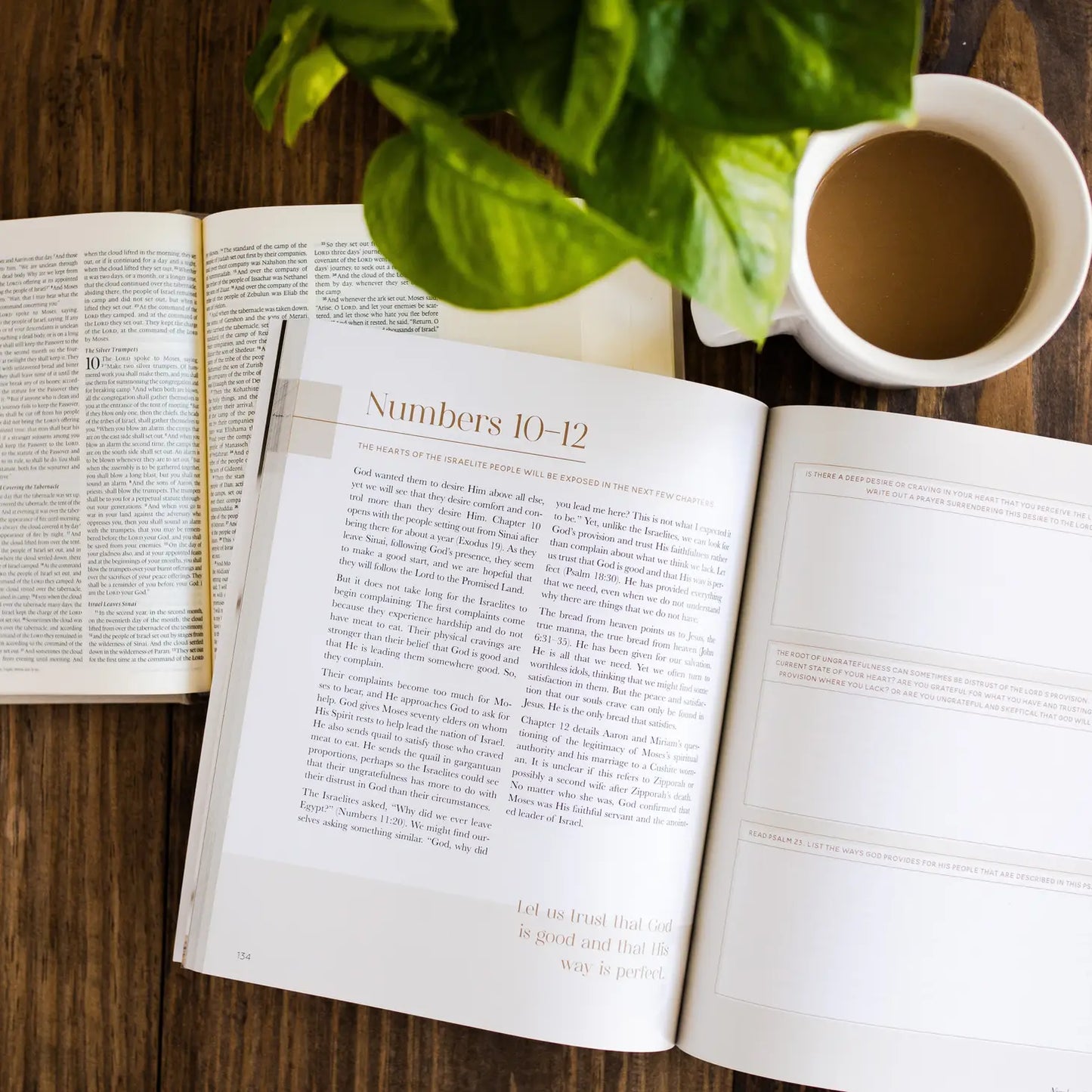 Eden to Eternity - The Chronological Story of Scripture - Volume 1