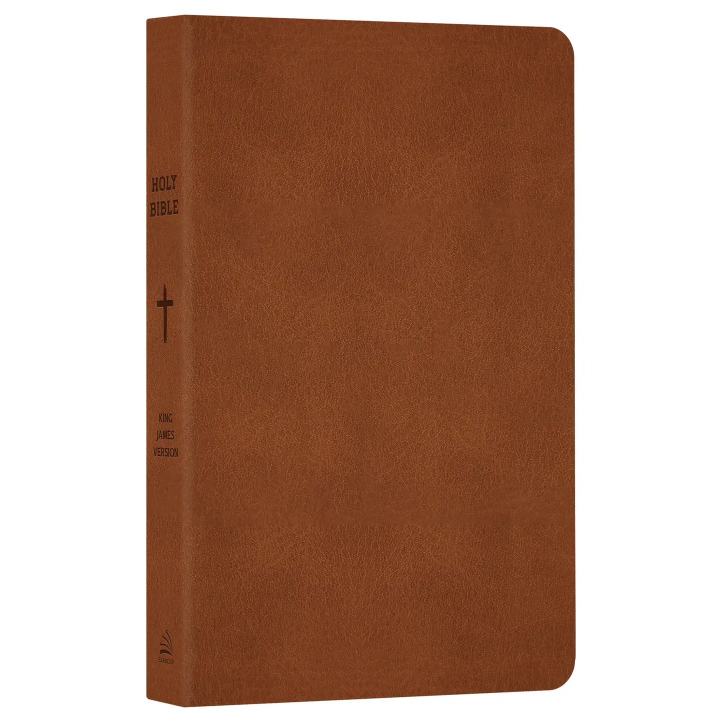 The Go-Anywhere KJV Bible for Young Men